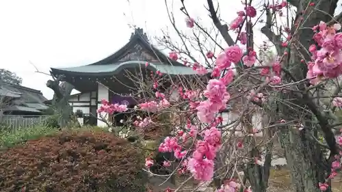 勧修寺の自然