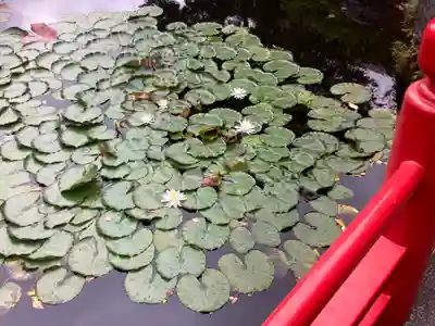 弁財天社(東京都)