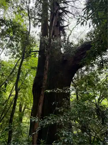 二上神社(宮崎県)