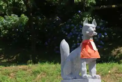 高屋敷稲荷神社の狛犬
