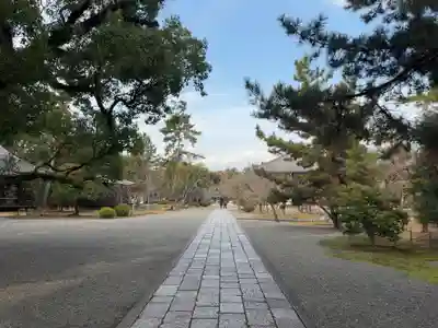廣隆寺(京都府)
