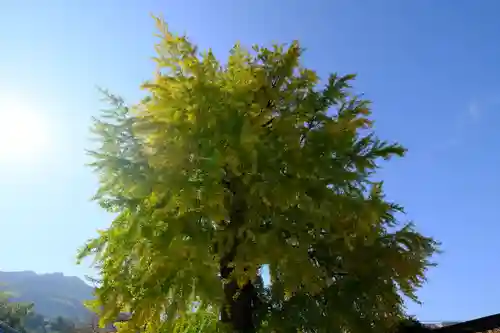 丹生酒殿神社の景色