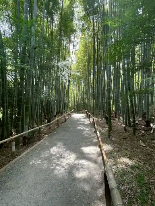 高台寺(高台寿聖禅寺・高臺寺)(京都府)