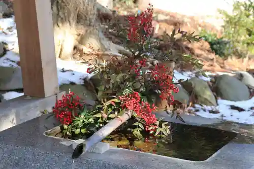 高司神社〜むすびの神の鎮まる社〜の手水