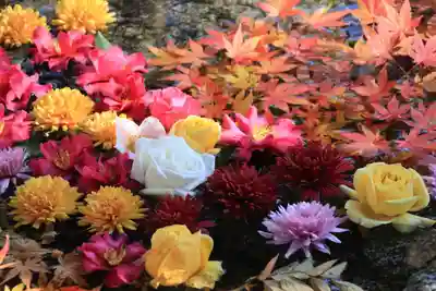 田村神社の手水舎