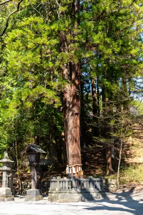諏訪大社下社春宮(長野県)