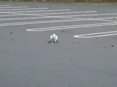 天岩戸神社(宮崎県)