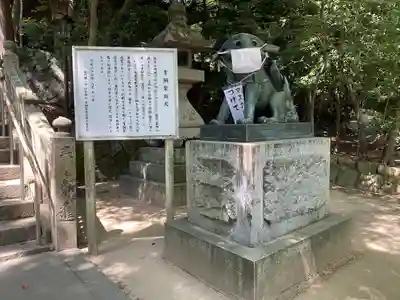 住吉神社の狛犬