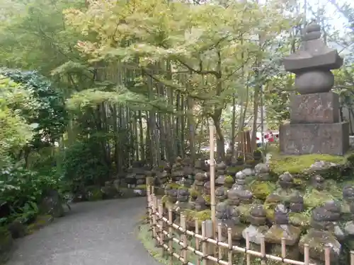 報国寺の庭園