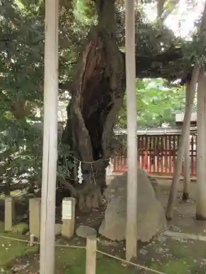 金王八幡宮のその他建物