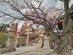 阿部野神社(大阪府)