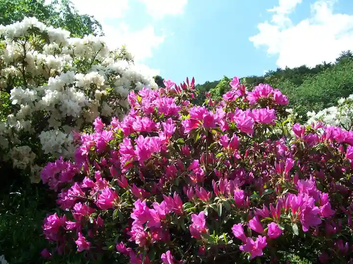五大尊堂(長徳寺)の自然