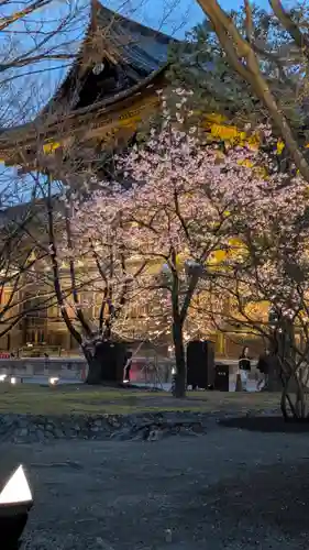 東寺（教王護国寺）(京都府)