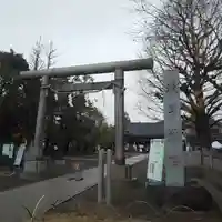 浅草神社の鳥居