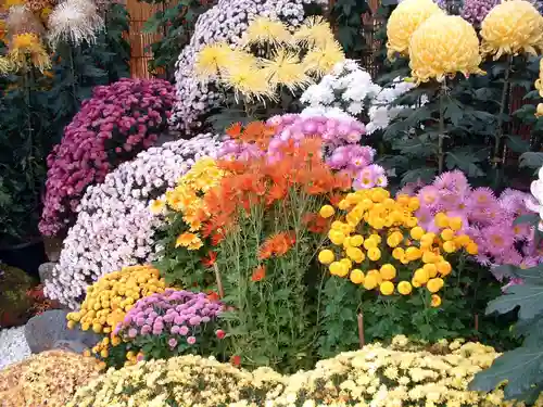 筑波山神社(茨城県)