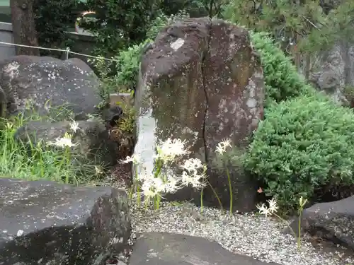 妙法寺のその他建物