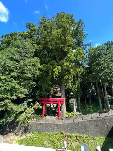 須山浅間神社の鳥居