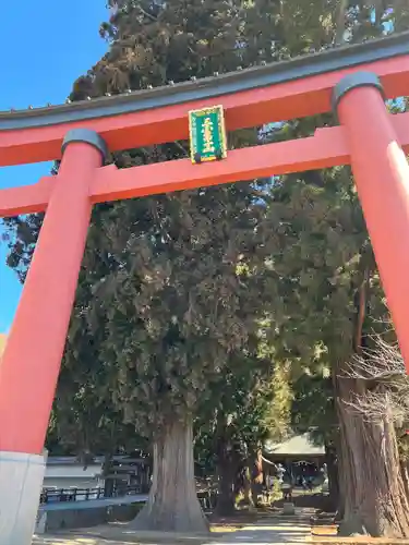 河口浅間神社の鳥居