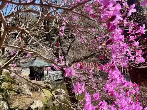 尊永寺の{uncategorized: "未分類", other: "その他", undefined: "問題あり", building: "その他建物", grave: "お墓", sacred_gate: "鳥居", guardian: "狛犬", statue: "像", buddha: "仏像", history: "歴史", nature: "自然", garden: "庭園", animal: "動物", pagoda: "塔", temizu: "手水舎", mountain_gate: "山門・神門", sanctuary: "本殿・本堂", subordinate: "末社・摂社", art: "芸術", scenery: "景色", jizo: "地蔵", ema: "絵馬", goshuin: "御朱印", omikuji: "おみくじ", items: "授与品その他", amulet: "お守り", goshuincho: "御朱印帳", eats: "食事", festival: "お祭り", votive_dance: "神楽", shichigosan: "七五三参", wedding: "結婚式", experience: "体験その他", initially: "初詣", around: "周辺", anti_infection: "感染症対策"}