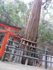 霊山寺の建物その他