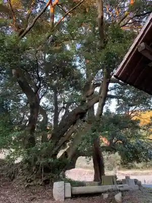 稲荷神社の自然