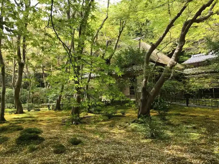 祇王寺のその他建物