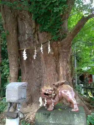 海南神社の狛犬
