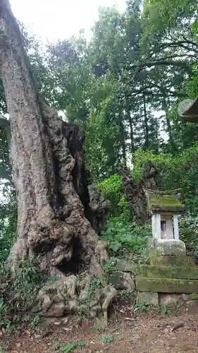 示現神社の自然