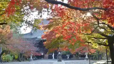 真正極楽寺(真如堂)のその他建物