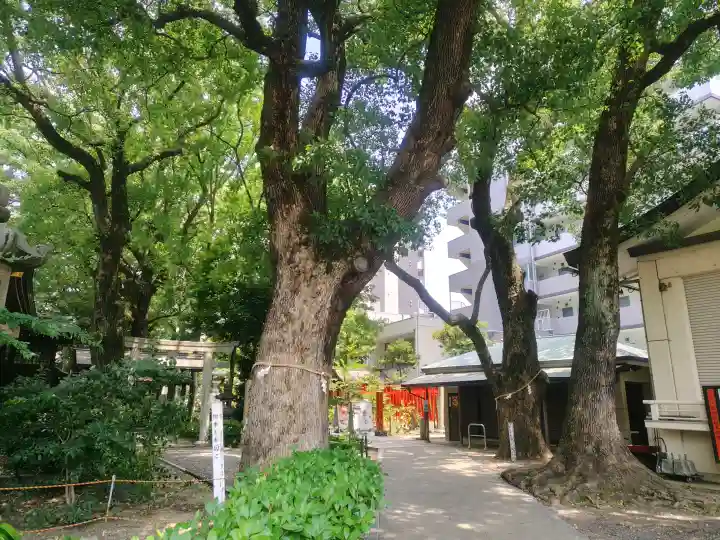 若宮八幡社(愛知県)