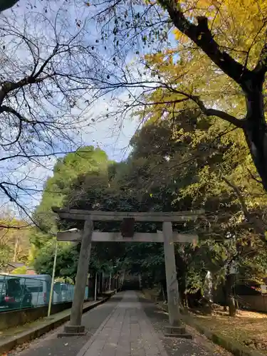 渋谷氷川神社の鳥居