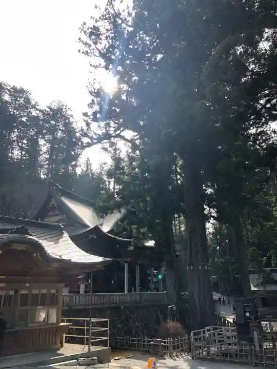 三峯神社(埼玉県)