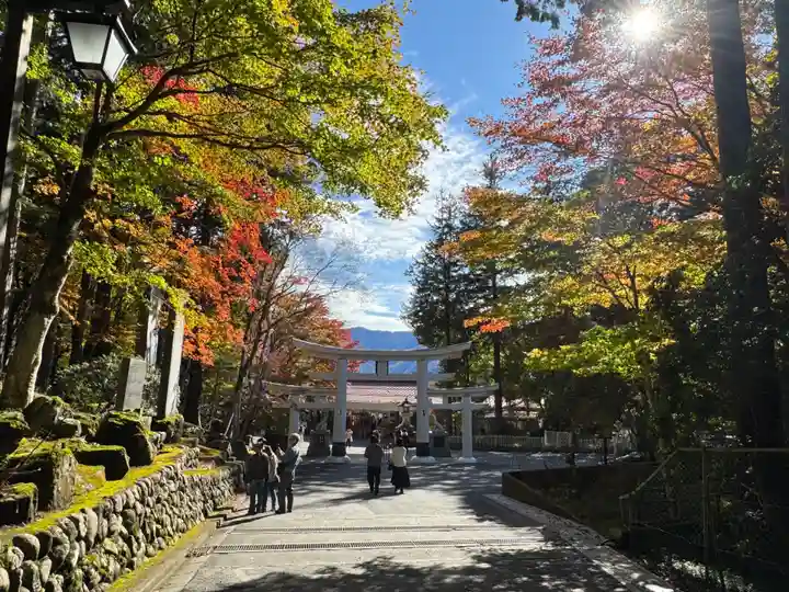 三峯神社(埼玉県)