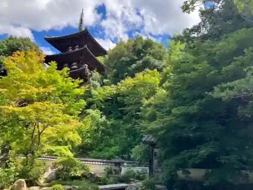 當麻寺中之坊(奈良県)