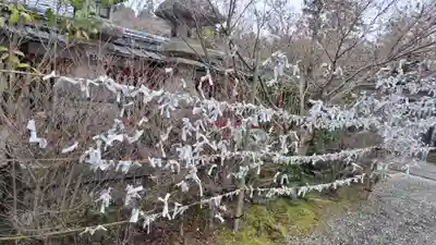 鍬山神社(京都府)