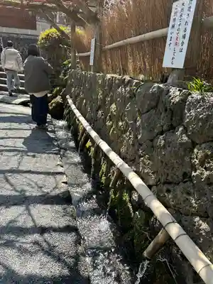 富士山本宮浅間大社(静岡県)