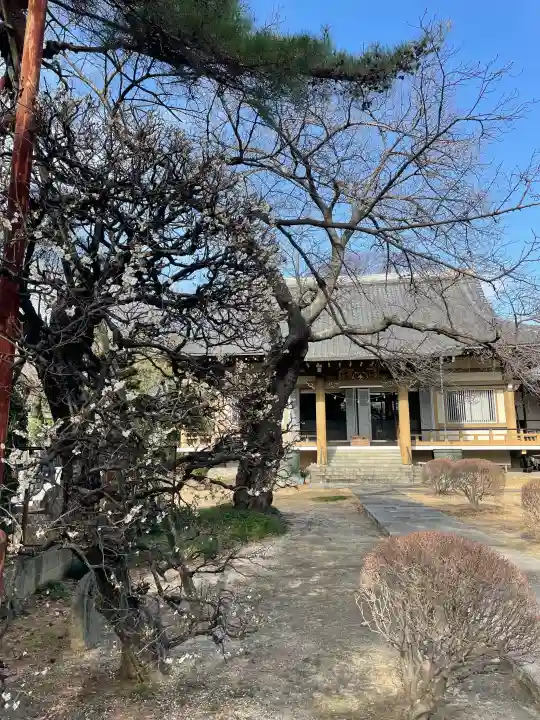 最勝院の{uncategorized: "未分類", other: "その他", undefined: "問題あり", building: "その他建物", grave: "お墓", sacred_gate: "鳥居", guardian: "狛犬", statue: "像", buddha: "仏像", history: "歴史", nature: "自然", garden: "庭園", animal: "動物", pagoda: "塔", temizu: "手水舎", mountain_gate: "山門・神門", sanctuary: "本殿・本堂", subordinate: "末社・摂社", art: "芸術", scenery: "景色", jizo: "地蔵", ema: "絵馬", goshuin: "御朱印", omikuji: "おみくじ", items: "授与品その他", amulet: "お守り", goshuincho: "御朱印帳", eats: "食事", festival: "お祭り", votive_dance: "神楽", shichigosan: "七五三参", wedding: "結婚式", experience: "体験その他", initially: "初詣", around: "周辺", anti_infection: "感染症対策"}