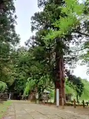 慶徳稲荷神社(福島県)