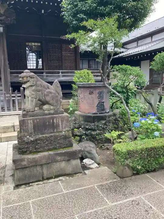 白山神社の狛犬