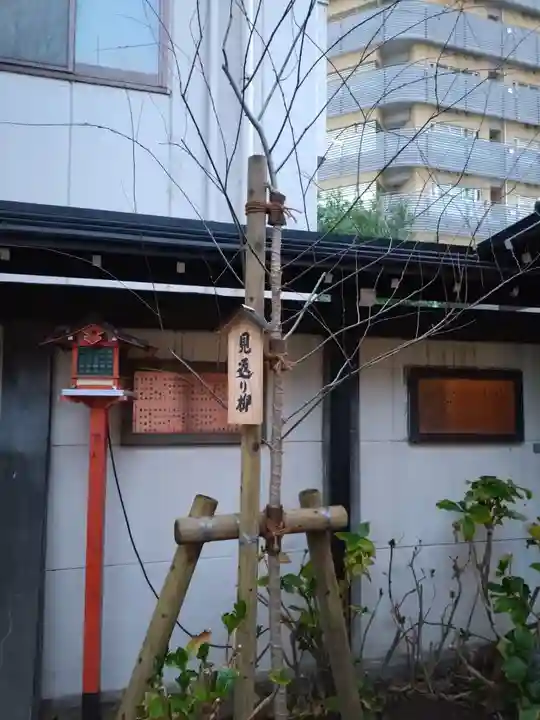 吉原神社(東京都)