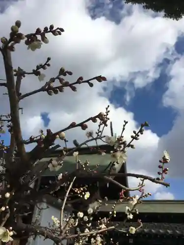 山田天満宮の自然