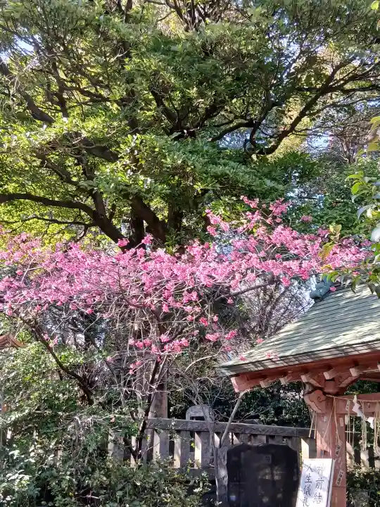 芝東照宮の{uncategorized: "未分類", other: "その他", undefined: "問題あり", building: "その他建物", grave: "お墓", sacred_gate: "鳥居", guardian: "狛犬", statue: "像", buddha: "仏像", history: "歴史", nature: "自然", garden: "庭園", animal: "動物", pagoda: "塔", temizu: "手水舎", mountain_gate: "山門・神門", sanctuary: "本殿・本堂", subordinate: "末社・摂社", art: "芸術", scenery: "景色", jizo: "地蔵", ema: "絵馬", goshuin: "御朱印", omikuji: "おみくじ", items: "授与品その他", amulet: "お守り", goshuincho: "御朱印帳", eats: "食事", festival: "お祭り", votive_dance: "神楽", shichigosan: "七五三参", wedding: "結婚式", experience: "体験その他", initially: "初詣", around: "周辺", anti_infection: "感染症対策"}