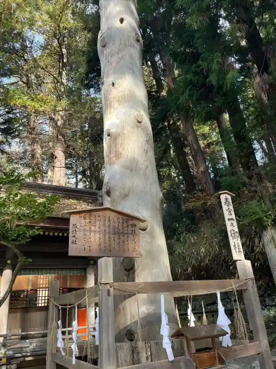 諏訪大社下社春宮(長野県)