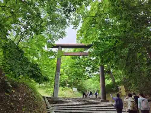 北海道神宮の鳥居