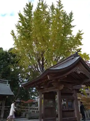 紅葉八幡宮の山門・神門