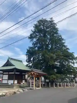 妙行寺(埼玉県)