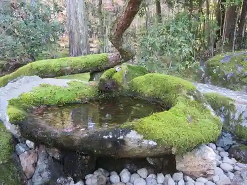 南禅寺の庭園