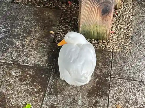 平塚八幡宮(神奈川県)