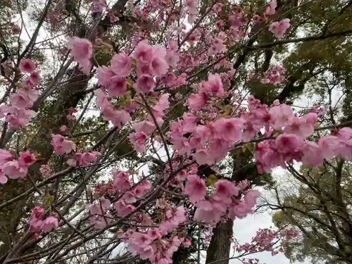 美奈宜神社(福岡県)