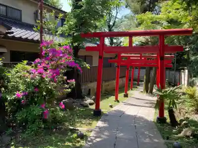 威光稲荷堂の鳥居